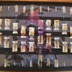 untitled-design-13