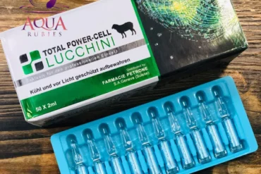 Total Power Lucchini